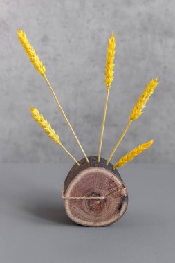 El yapımı iç dekorasyon. Ukrayna ve yaşamın sembolü olarak buğday. Renkli kuru çiçekler. Ahşap bir standa çiviler boyanmış. Çiçek yerine bir hediye. Odada parlak bir aksan var. Buğday ürünü.