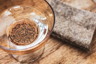 Cam bir kasede sırılsıklam roka tohumları. Evde mikroçim yetiştiriyorum. Tohumları ekmek için hazırlık. Organik ürünler. Arugula besinleri.