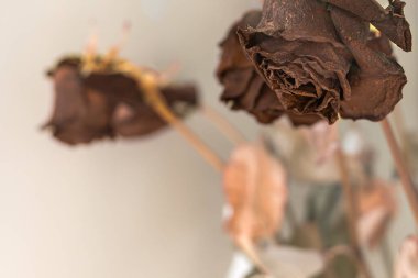 Hayatın akışkanlığının bir sembolü olarak solmuş bir gül. Kuru yapraklar. Ölü güzellik. Yaşlı kadın. Kısa ömürlü aşk. Kırık kalp. Üzücü bir ruh hali. Ölü çiçekler. İşe yaramaz bir hediye. Hayatın gerçeği..