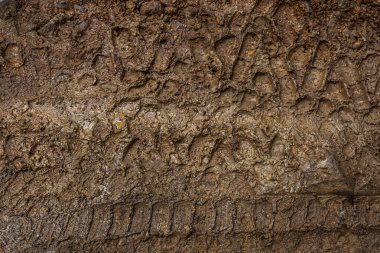 Yoldaki kir. Islak kil. Kırsal tema. Bir arabanın ya da traktörün lastik izi. Grunge tarzı. Çamurlu yol. Yağmurlu bir ruh hali. Depresyona gir. Yağmurdan sonra. Off-road yarışı.