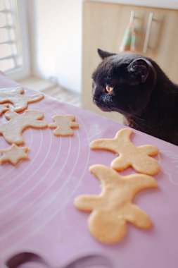 Masadaki Noel kurabiyelerine ilgi duyan komik bir siyah kedi var. Yemek pişirme süreci. Kurabiye yapın. Şenlik havası. Noel 'de. Kış pişirme. Masadaki kedi. Kedi yiyecek çalıyor. Masadan. 13. Cuma..