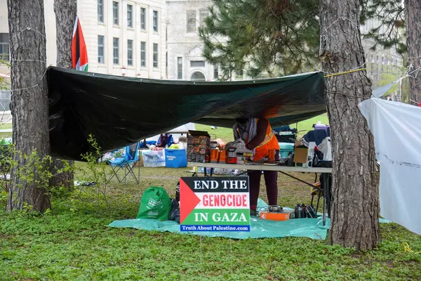stock image Ottawa, Canada  May 1, 2024 A pro-Palestinian protest has evolved from a sit-in to an encampment as several tents have been erected on the University lawn. This is despite the fact that the University declared that no encampments would be tolerated