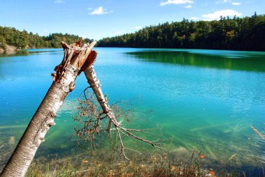 Gatineau Quebec 'teki Pembe Göl. Göl 'e Pembe Göl denilir çünkü bu bölgeye yerleşen ailenin adı verilmiştir. Su aslında ötrofikasyon denen doğal bir süreçten dolayı yeşildir.
