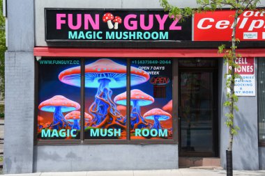 Ottawa, Kanada - 16 Mayıs 2025: FunGuyz, Kanada 'da yasadışı olarak satılan ve sihirli mantar bulundurmak yasaktır. Ürünün yasallaştırılmasını umuyorlar..