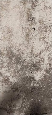 Küçük mavi kiremitleri olan bir duvar. Zengin doku geçmişi. Gürültülü ve tarafsız bir arka plan. Diğer bitkilerle huzur içinde yaşayan bir ağaç. Kapat..