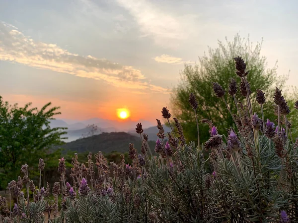 Kırsal Bölgedeki Dağlarda Güneş Doğuyor — Stok fotoğraf