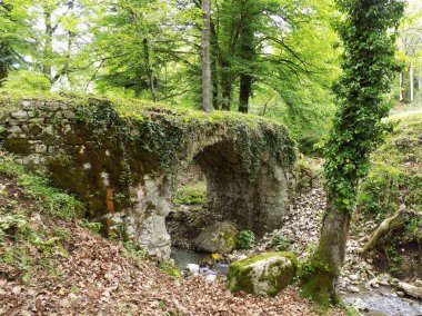 Gürcistan 'ın Zeda Gordi köyündeki eski kemerli köprü. 