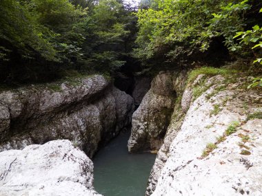 Mavi Nehir dar bir kanyonda. Martvili Kanyonu, Georgia