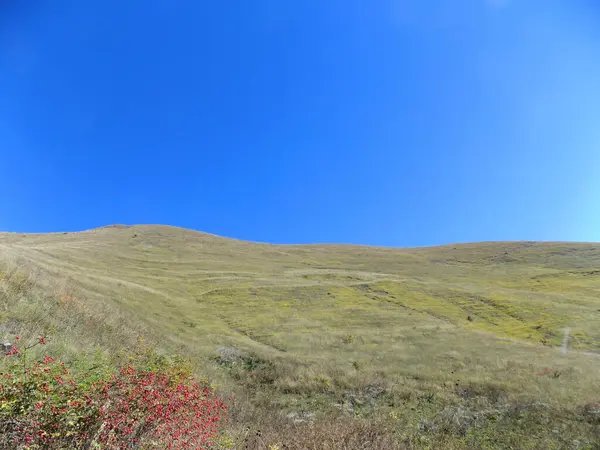 Tarlada yarı kurumuş yeşil çimenler ve sonbaharda mavi gökyüzü, Khada Gorge, Georgia