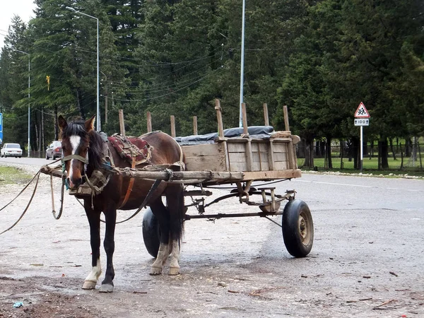 Martville, Georgia 'daki Brown Horsecart.