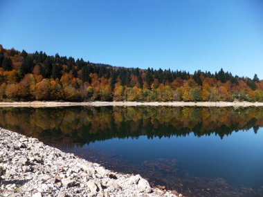 Suya yansıyan renkli sonbahar ağaçları. Shaori Gölü, Georgia