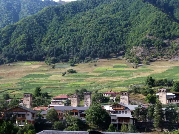 Svan kuleleri, evler ve dağlarda bölünmüş tarlalar. Mestia, Georgia