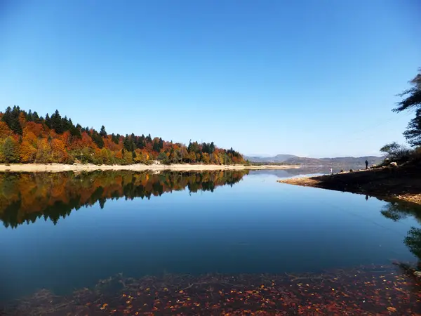 stock image Colorful autumn trees reflected in the water. Lake Shaori, Georgia