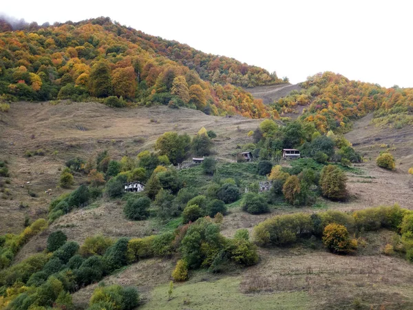 Góry Jesienny Las Opuszczona Wioska Zrujnowane Domy Gudamakari Gruzja — Zdjęcie stockowe