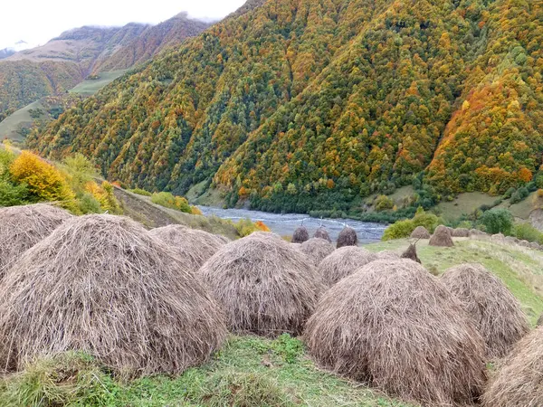 Dağlarda ve sonbahar ormanlarında saman yığınları. Gudamakari, Gürcistan