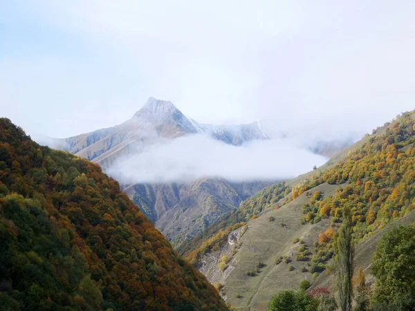 Herbstwald Wolken Und Schneebedeckter Berg Gudamakari Georgien — Stockfoto