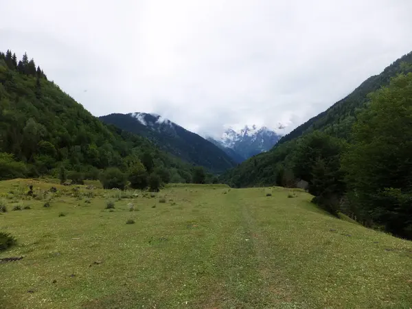 Yeşil alan, nehir kanyonu, orman, sis ve karlı dağ. Laila Dağı (Lahili), Svaneti, Georgia 