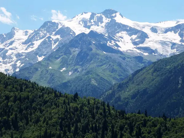 Όμορφο Χιονισμένο Βουνό Και Δάσος Mount Laila Lahili Svaneti Γεωργία — Φωτογραφία Αρχείου