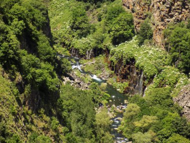 Taşların üzerinde güzel bir şelale, yeşillikte, nehir kanyonunda. Dashbashi Şelaleleri, Georgia    