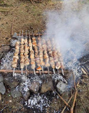 Gürcistan mutfağı, Mtsvadi, çam ağacında barbekü. Tsalka, Gürcistan