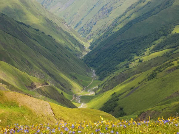Bir kale kulesi, bir nehir, bir nehir vadisi ve dağlarda bir yol. Shatili Yolu, Georgia