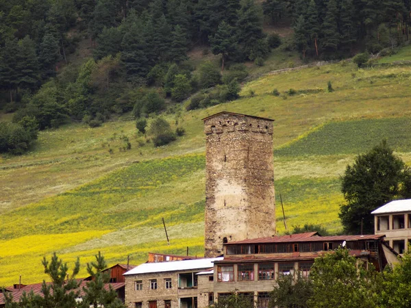 Svan Turm Häuser Und Geteilte Grüne Felder Den Bergen Mestia — Stockfoto