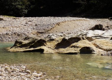 Dinozorlara benzer doğal bir taş şekli. Abasha Nehri. Georgia     