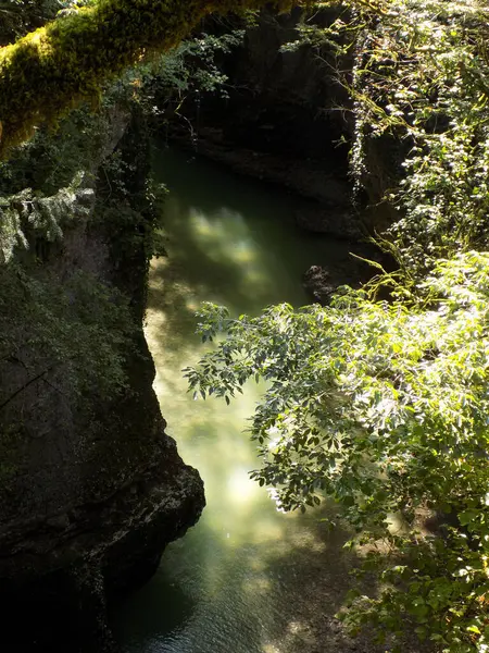 stock image Green river canyon seen from above. Martvili Canyon, Georgia.      