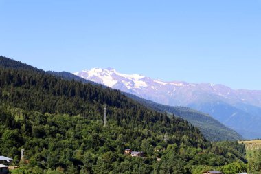 Çam ormanı, karlı dağ ve mavi gökyüzü. Mestia, Georgia