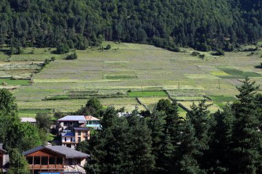 Evler ve bölünmüş yeşil tarlalar, ormanın kenarında, dağlarda. Mestia, Georgia