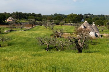 İtalya 'nın güneyindeki Puglia' da küçük bir kasaba olan Alberobello 'nun sembolü olan güzel, geleneksel Trullo çobanlarının evleri.