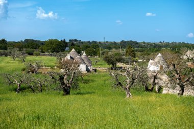 İtalya 'nın güneyindeki Puglia' da küçük bir kasaba olan Alberobello 'nun sembolü olan güzel, geleneksel Trullo çobanlarının evleri.