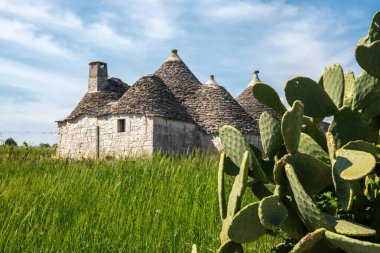 İtalya 'nın güneyindeki Puglia' da küçük bir kasaba olan Alberobello 'nun sembolü olan güzel, geleneksel Trullo çobanlarının evleri.