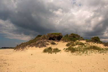 Kumsaldaki kum tepecikleri yabani çalılarla kaplıydı.