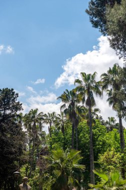 Güney İtalya, Lecce 'deki tropikal park
