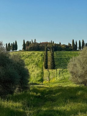 Gladyatör Evi. Ridley Scott 'ın Gladyatör filminde gördüğümüz yatak.