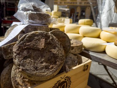 Cortona, Tuscany, İtalya 'daki pazarda bulunan el yapımı koyun peynirleri.
