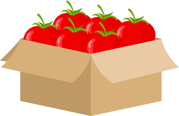 Caixa Papelão Cheia Tomates Vermelhos — Vetor de Stock