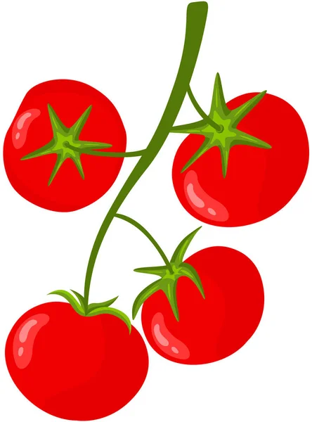 Bando Tomates Vermelhos Frescos — Vetor de Stock