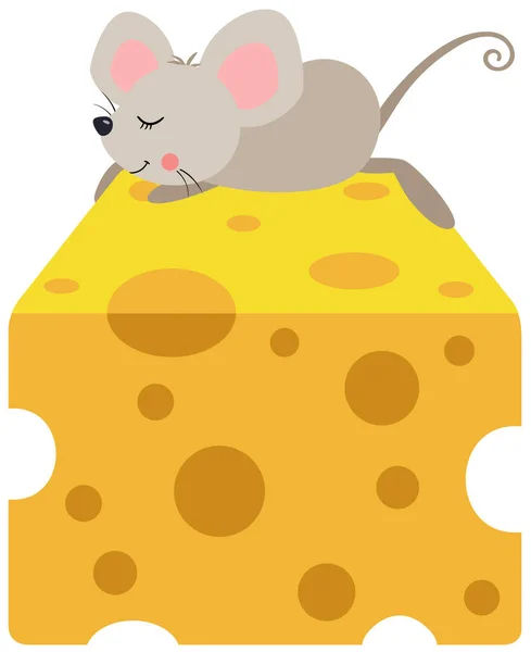 Little Mouse Sleeping Top Cheese — Stock Vector