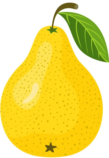 Yellow Fresh Pear Isolated White — Stock Vector