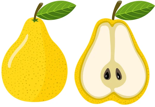 Whole Half Yellow Pear — Stock Vector