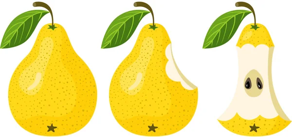 Fruits Entiers Morsure Manquante Restes Noyau Poire Jaune — Image vectorielle