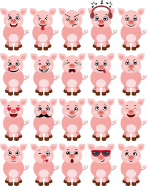 Farklı ifadeli şirin bir domuz seti.