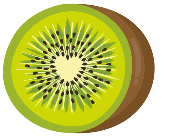 Tranche Kiwi Frais Avec Cœur Centre — Image vectorielle