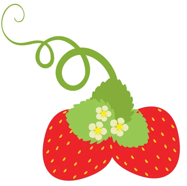 Δύο Κόκκινες Φράουλες Πράσινα Φύλλα Και Λουλούδια — Διανυσματικό Αρχείο