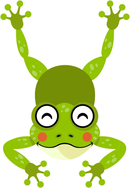 可爱的快乐青蛙独自跳跃 — 图库矢量图片