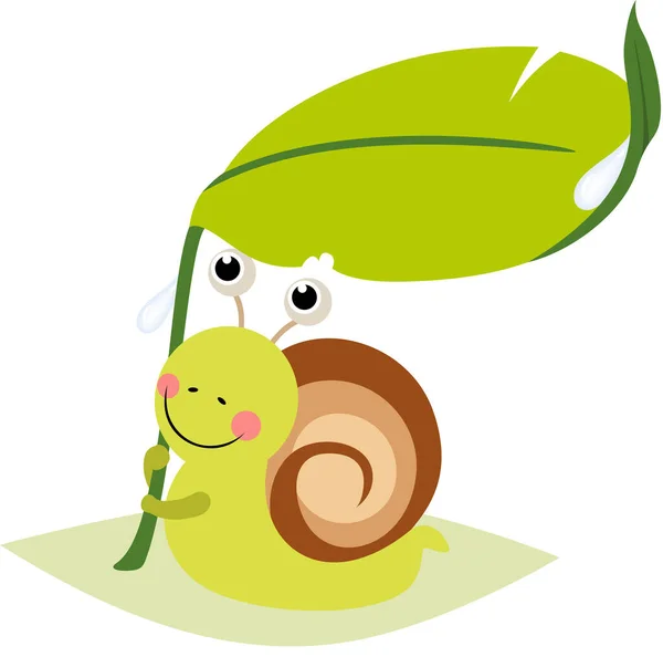 在绿叶下避雨的有趣蜗牛 — 图库矢量图片