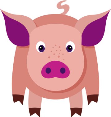 komik domuz üzerinde beyaz izole