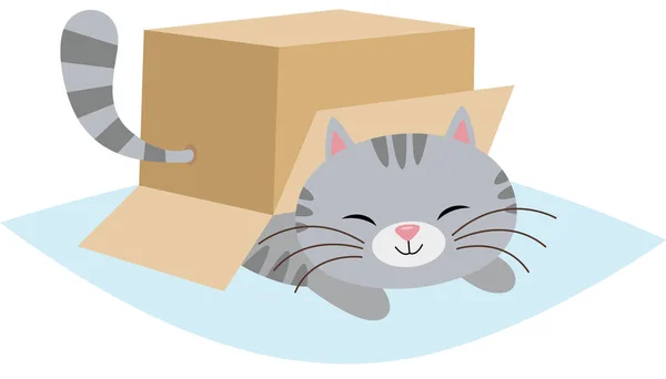 段ボール箱の下のかわいい猫 — ストックベクタ
